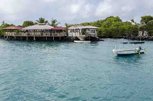 88 - Ecuador - islas Galapagos - isla Santa Cruz - Puerto Ayora